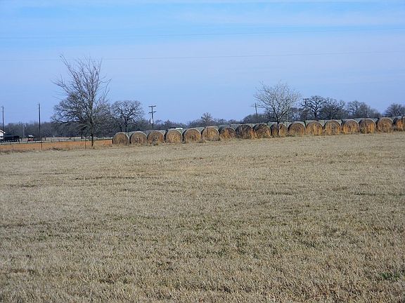 3rd image of 13950 County Road 1120