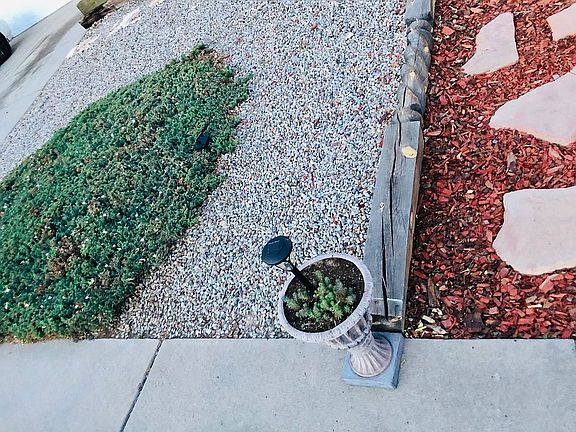 Stone walk way- front yard 