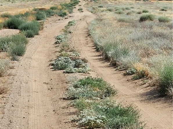 0 100th St W #K-lot 25, Lancaster, CA 93536