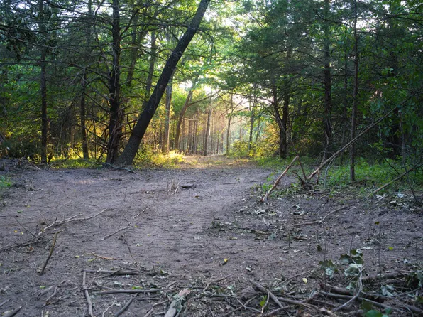 000 N Farm Rd 149, Pleasant Hope, MO 65725