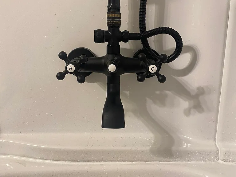 Shower control for temperature + showerhead / bath spout selection.