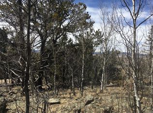 285 Hiawatha Cir, Hartsel, CO 80449