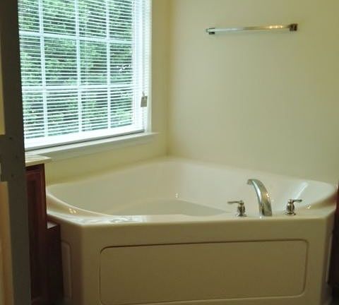 Master bath garden tub