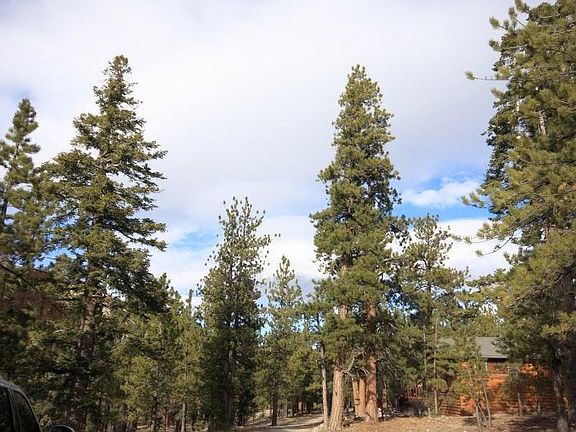 5th image of 4106 Tyrol Way
