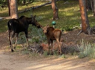 304 Ironclad View Rd, Allenspark, CO 80510