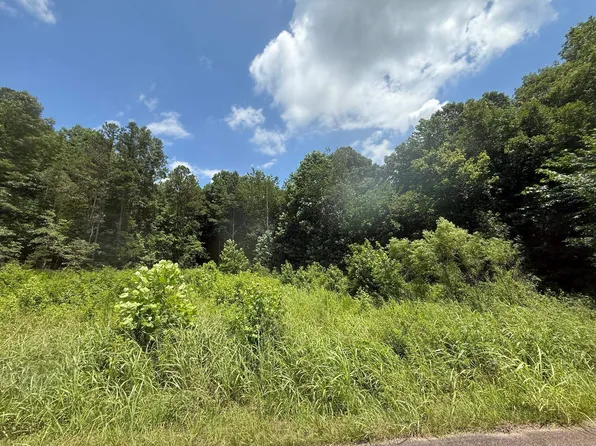 1 Cherry Chapel Loop, Savannah, TN 38372