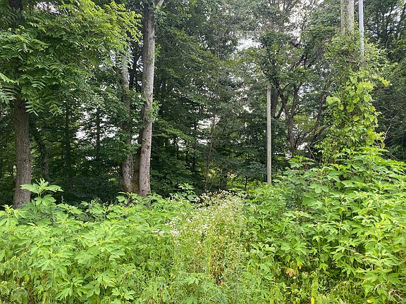 3rd image of 43 Huckleberry Dr