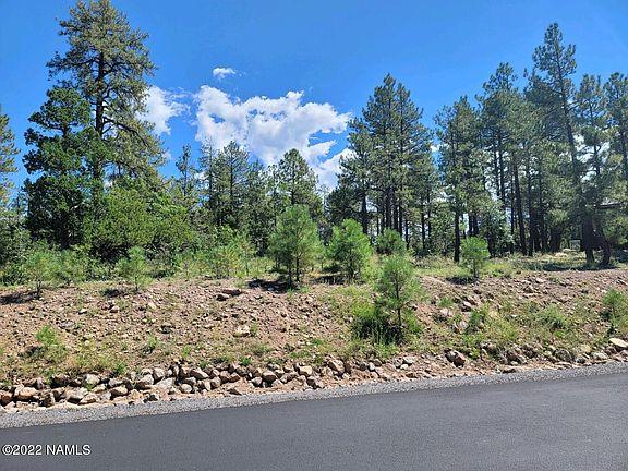 2nd image of 1197&1225 Timbernook Xing