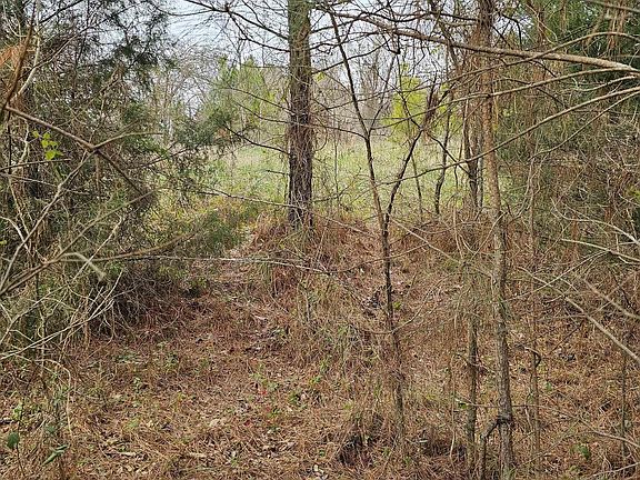 5th image of 109 Pump House Rd