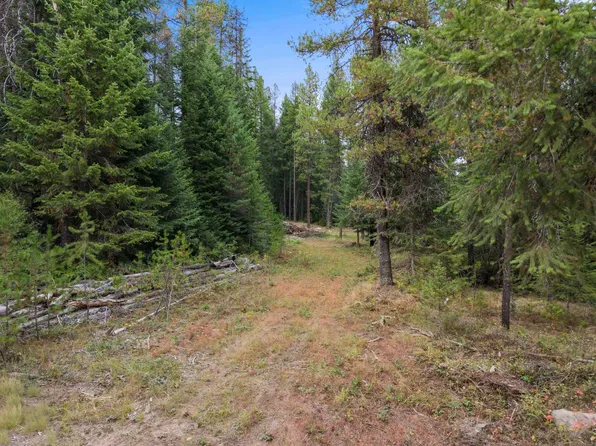 576 Buck Creek Rd, Newport, WA 99156