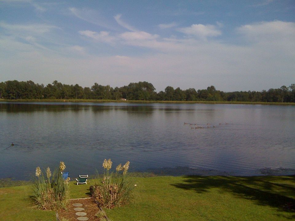 View from deck, kitchen, and den