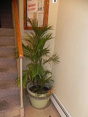 Rented by Link NY Realty | media 37