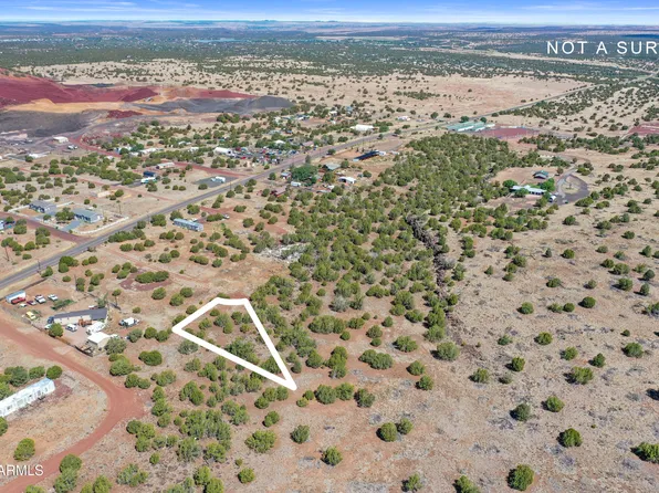 8795 LUANA Drive #125, Show Low, AZ 85901