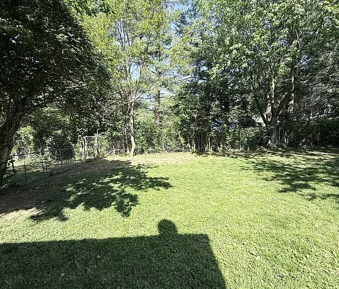 246 Medlock Rd — Photo 11