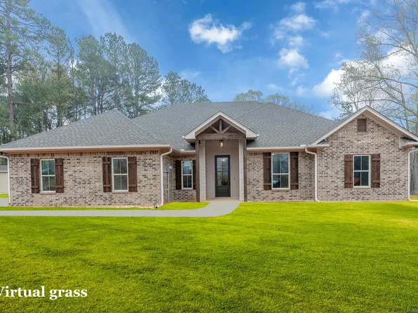 117 Private Road 1111, New Diana, TX 75640