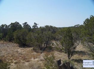 406 Freedom St, Fischer, TX 78623
