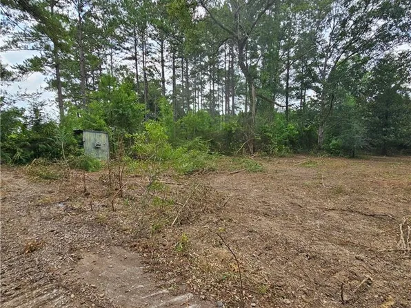 LOT Vining Rd #B, Amite, LA 70422