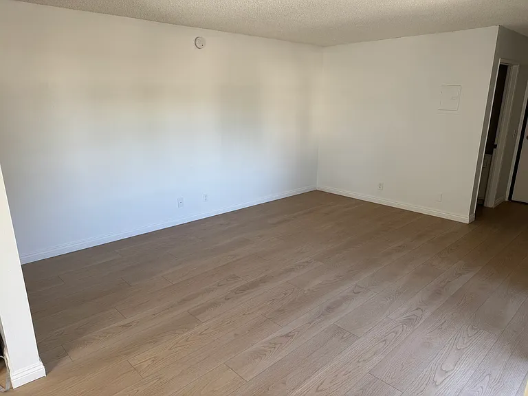 Venice Apartments — Photo 9