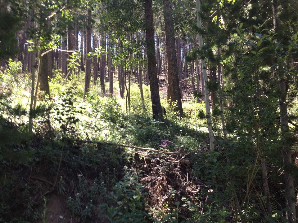 1st image of 11903 Coal Creek Heights Dr