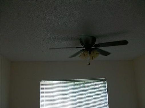 1st image of 3700 N 56th Ave APT 1014
