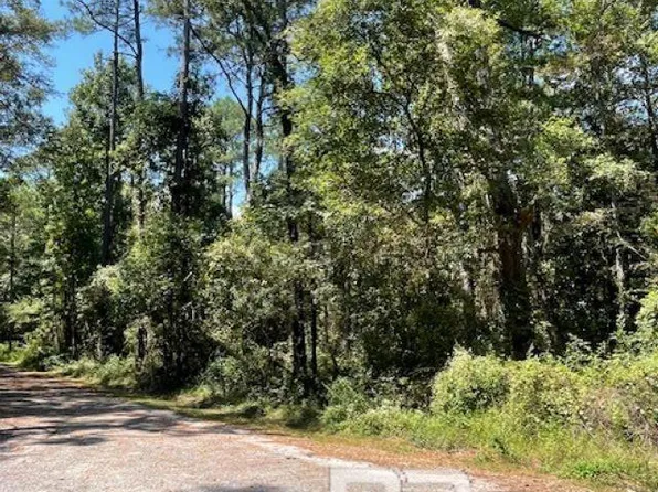 LOT 41 Caster St, Mobile, AL 36605