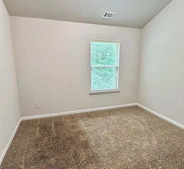 3290 Mulberry Cove Way — Photo 16