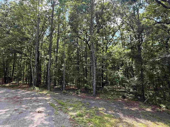 0 Farmers Cir, Higden, AR 72067