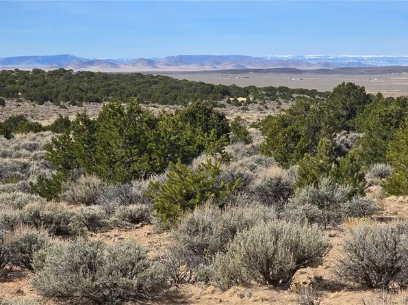 Lot 1075 Sylvia Road, Fort Garland, CO 81133