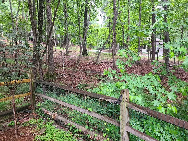 120 Rocky Stream Ct — Photo 5