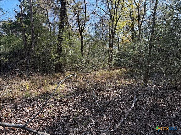 5th image of County Road 301 #7