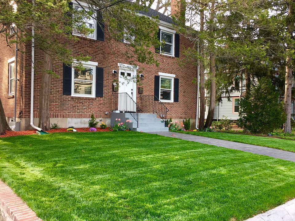 Front yard - Spring 2017