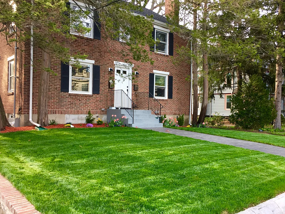 Front yard - Spring 2017
