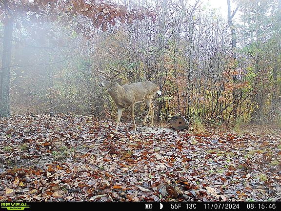 3rd image of 6861 Rockcastle Rd