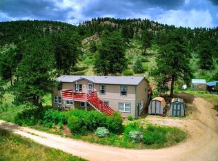111 Elk Ln, Bailey, CO 80421