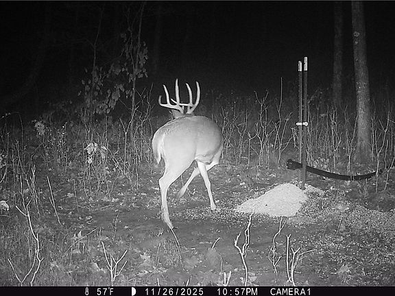 3rd image of 37795 Sheep Skin Ridge Rd
