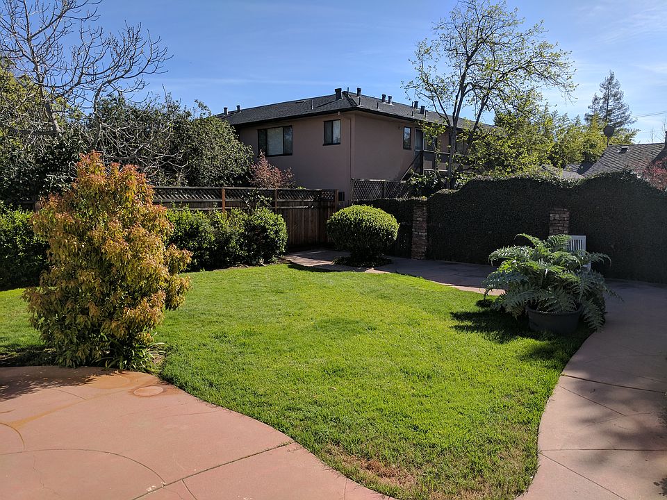 Park-Like Backyard