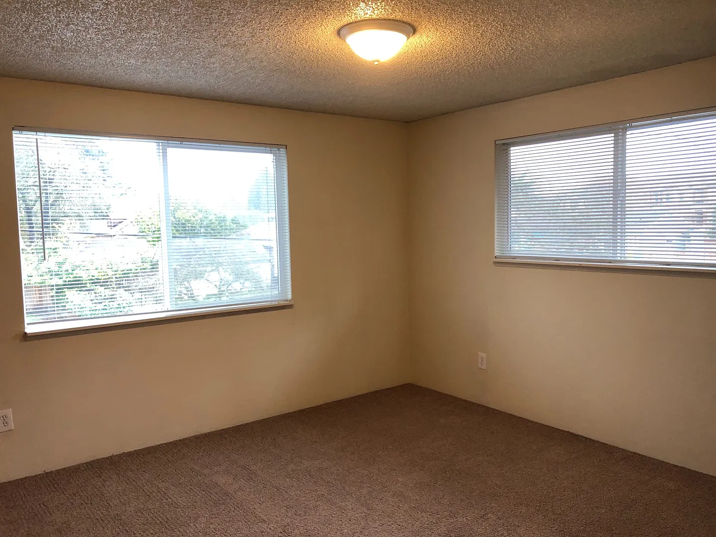 Shannon Apartments — Photo 4