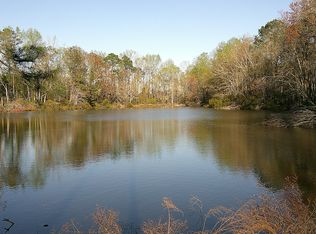 35 Barwick Kea Rd, Adrian, GA 31002