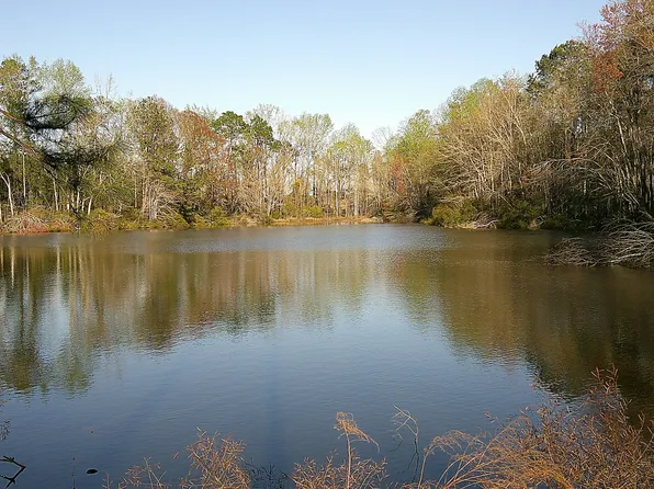 35 Barwick Kea Rd, Adrian, GA 31002