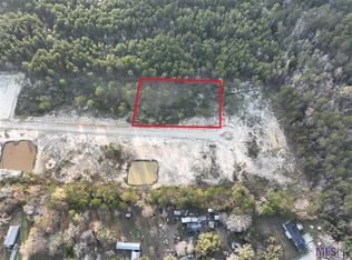 26500 Wagon Wheel Dr, Holden, LA 70744