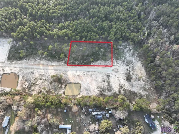 26500 Wagon Wheel Dr, Holden, LA 70744