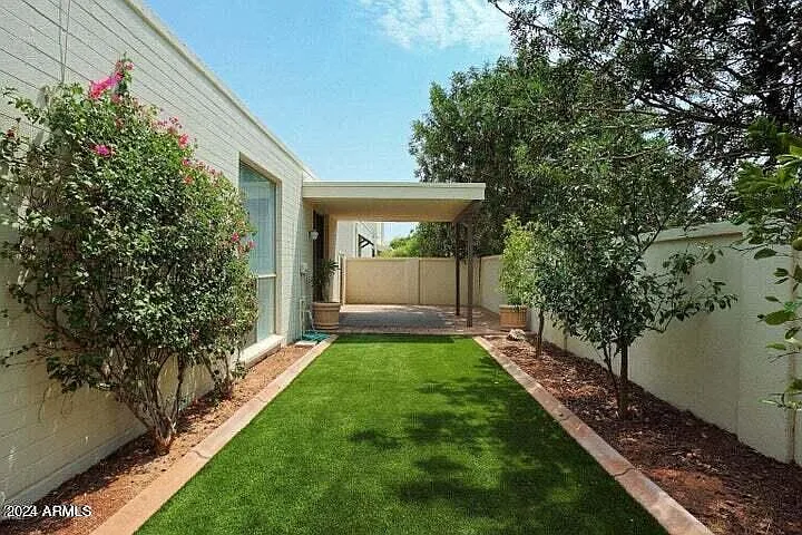 Backyard