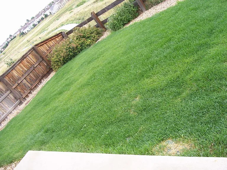 Worst backyard pic EVER