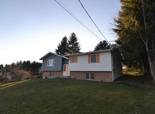 1015 N McKinley Ave, Endicott, NY 13760