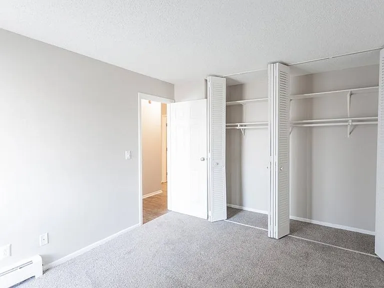 Reno BR closet2