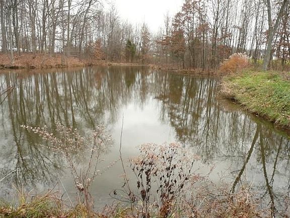 Large Pond and Woods