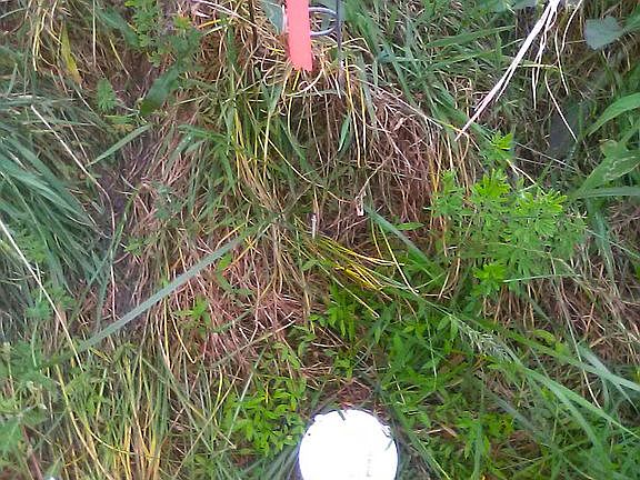 5th image of 306 Salt Lick Creek Rd