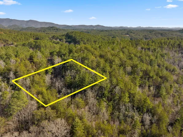 19 Skyline Dr Lot 19, Turtletown, TN 37391