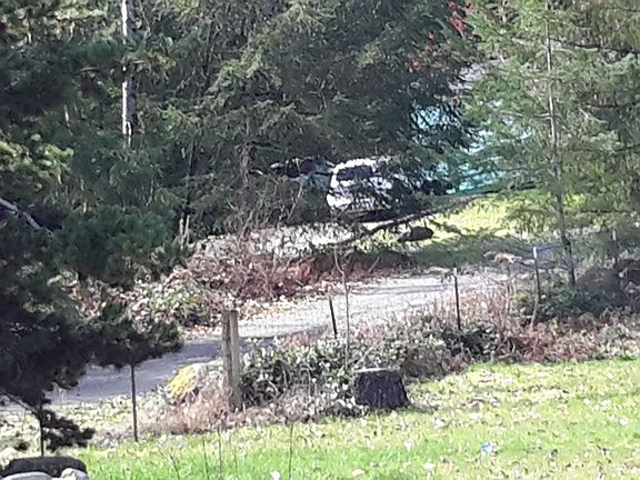 3rd image of 20715 123rd St. E