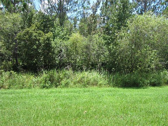 3rd image of 10827 Dragonwood Dr